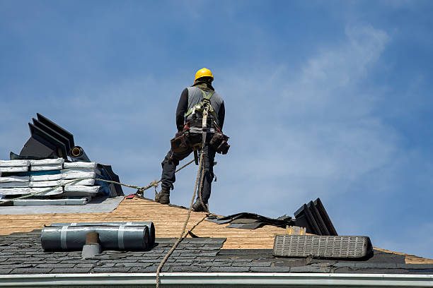 Professional Roof Replacement technician working in Edwards, IL